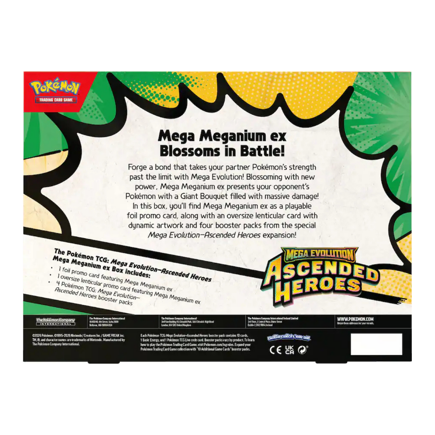 Ascended Heroes Mega Meganium ex Box